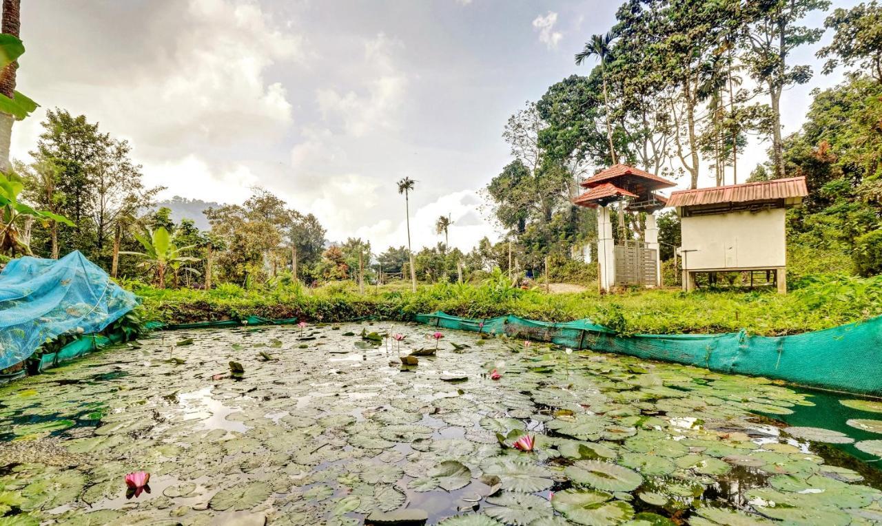 Treebo Tryst Jathika Resorts Kozhikode Extérieur photo